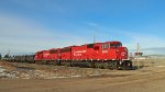 CP 6262